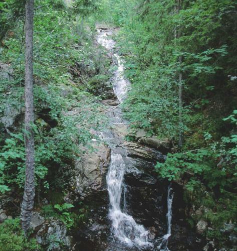 Lodge Vr�dal Hyttegrend