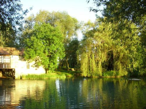 Hotel H�tel Le Chantoiseau