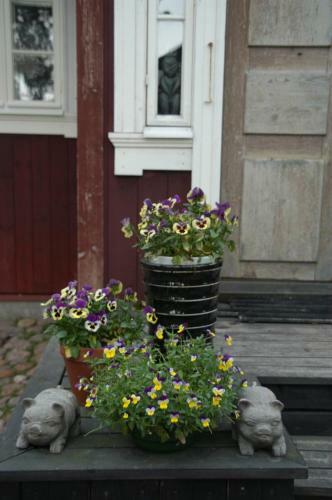 1800's Townhouse