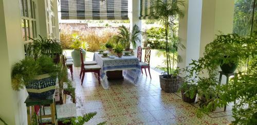 Bed & Breakfast Maison Simba Luxury Boutique Guesthouse