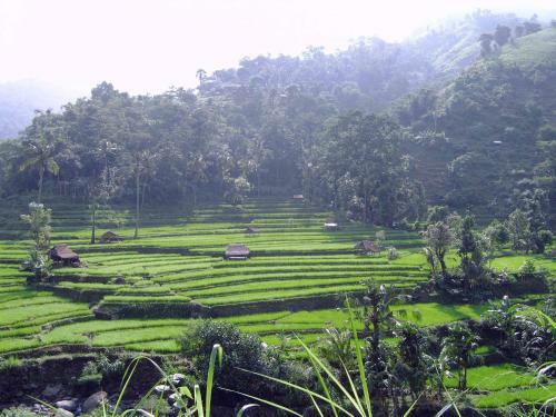 Hotel Villa Arjuna
