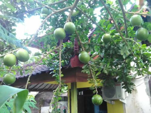 Pondok Diana