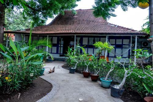 Albergue The Hideout