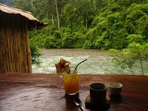 Hostal Sumatra Orangutan Explore