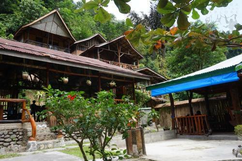 Hostal Sumatra Orangutan Explore