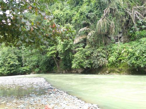 Albergue Jungleriver
