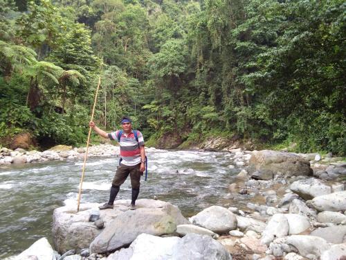 Albergue Jungleriver