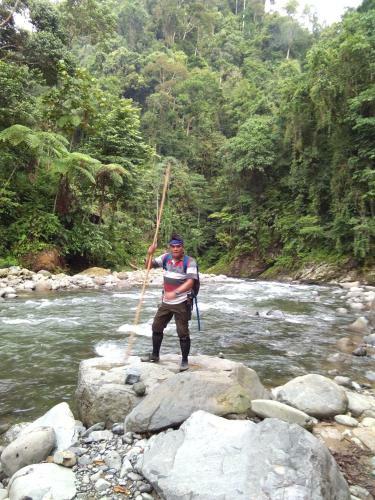 Albergue Jungleriver