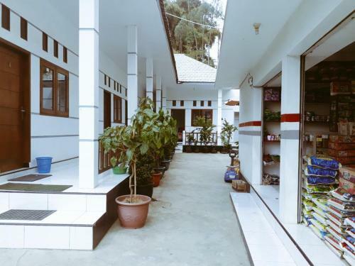 Hostal Savana Guesthouse