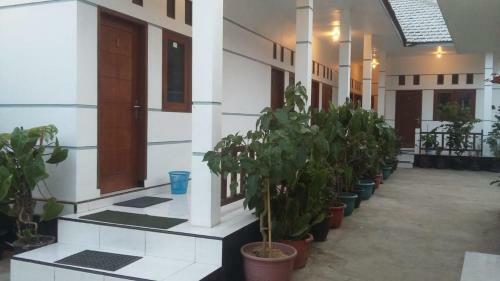 Hostal Savana Guesthouse