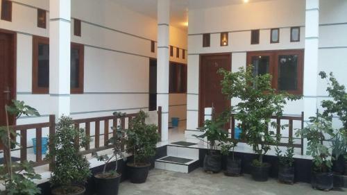 Hostal Savana Guesthouse