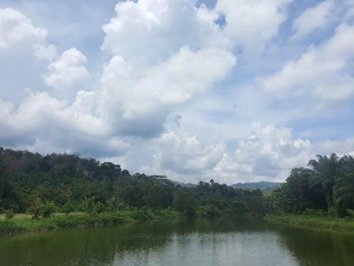Telaga Cinta Bukit Lawang