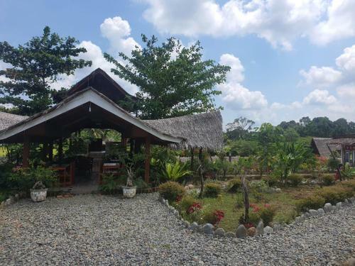 Telaga Cinta Bukit Lawang