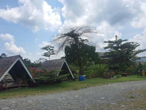 Telaga Cinta Bukit Lawang