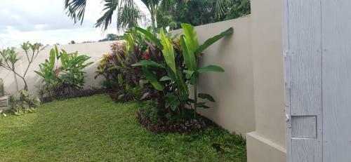 Hostal 7l Guest House