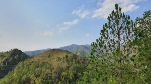 2bhk Alpine Villa