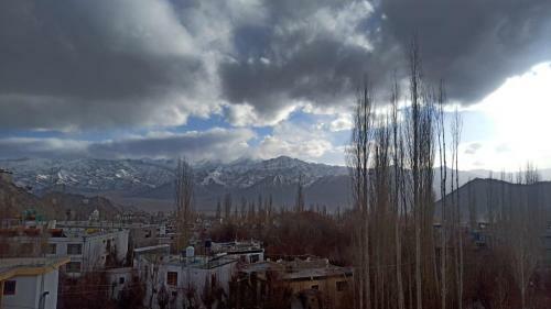 Hotel Malik Palace