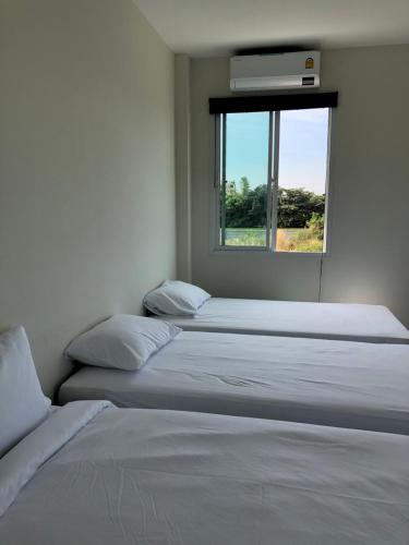 Albergue Chics Resort ????????????