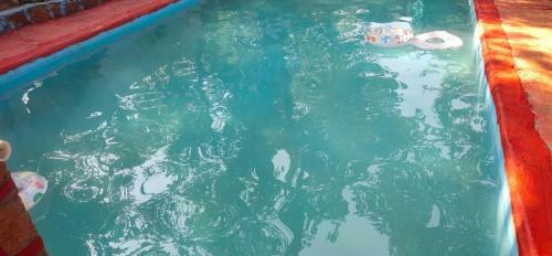 Hotel G.m Food- Park View Resort Matheran