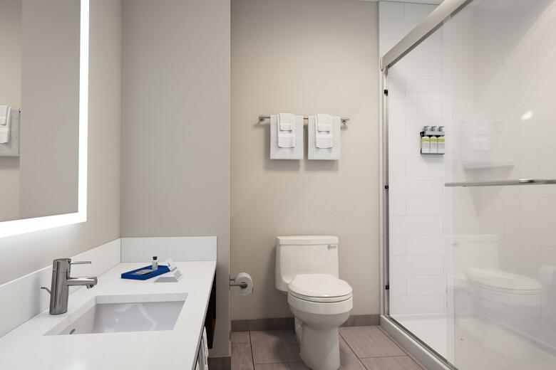 Hotel Holiday Inn Opelousas