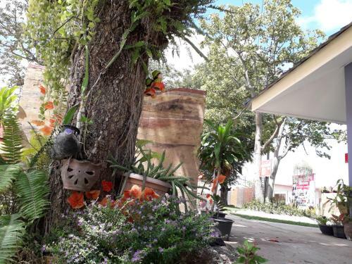 Apartamento Wapipathum Earthen House