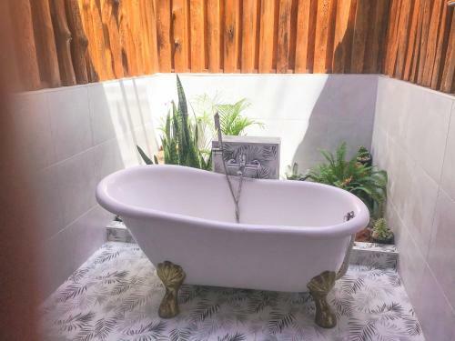 Bed & Breakfast Goodvibes Cabins