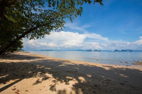 Apartment Beachfront Sea View 132