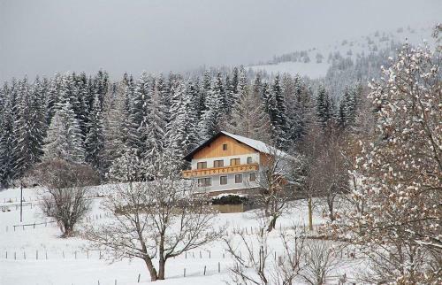 Apartamento Ferienwohnung Greim