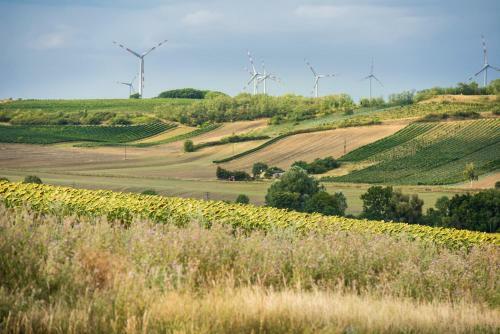Hostal Weingut Martinshof