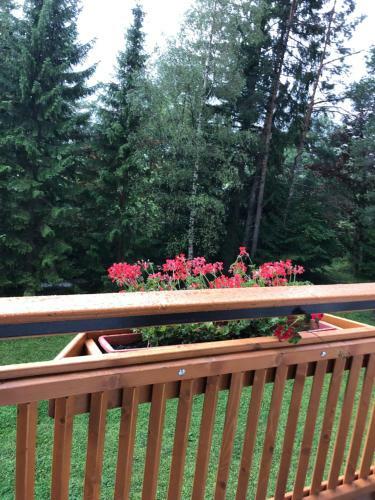 Apartamento Karwendel-lodge