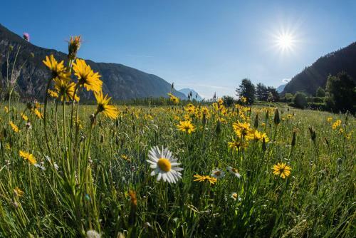Easy Living Apartment �tztal