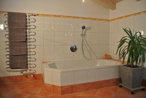 Apartamento Appartement Seespitzhof