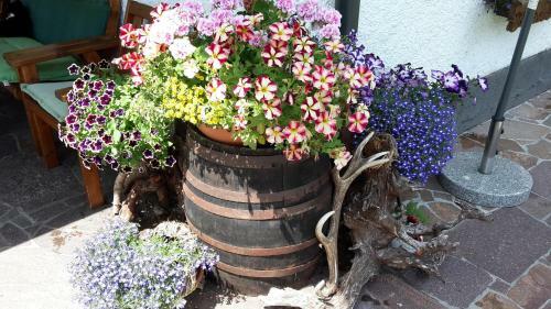 Bed & Breakfast Hauslhof