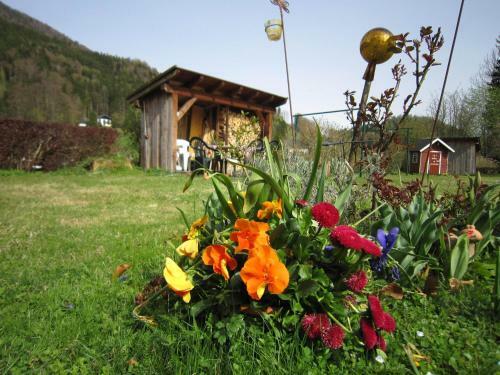 Apartamento Appartement Scheibling