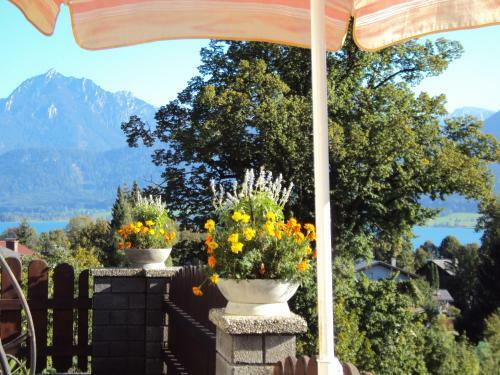 Apartamento Haus Bergland