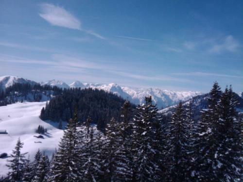 Apartamento Haus Bergland