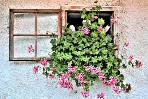 H�blinghof