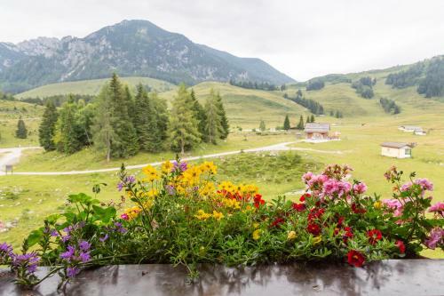 Lodge Almhaus Alpenrose