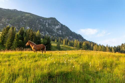 Lodge Almhaus Alpenrose