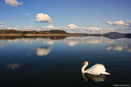 Pp-camping Wallersee