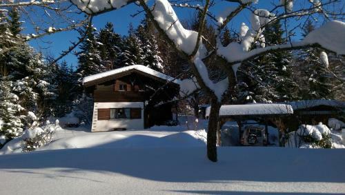 Ferienhaus Sinz