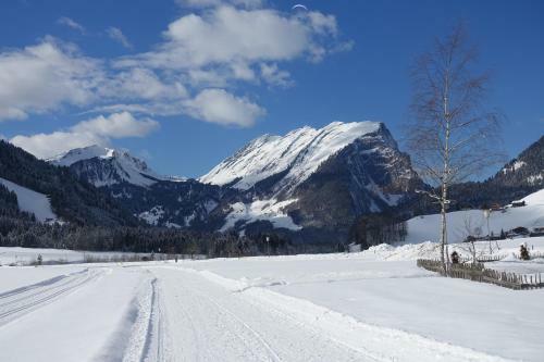 Hostal Pension Haus Romy
