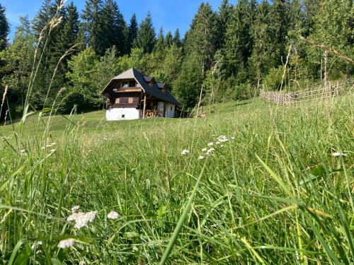Gastkeusche H�ss