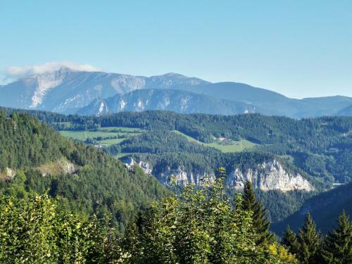 Apartamento Waldnest Am Semmering