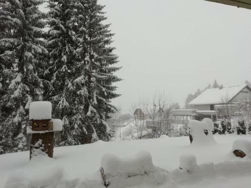 Bed & Breakfast Tannenhof