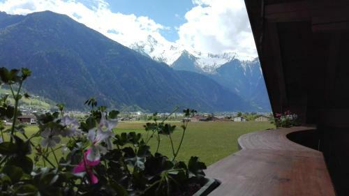 Apartment Theresia