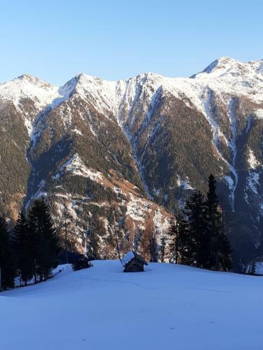 Hostal Molltaler Appartements