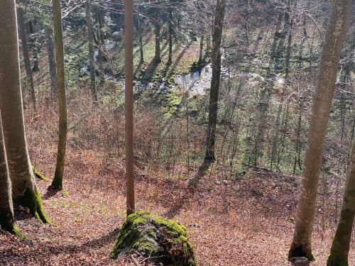 Apartamento Ferienwohnungen Uriwang - Urlaub Im Gr�nen