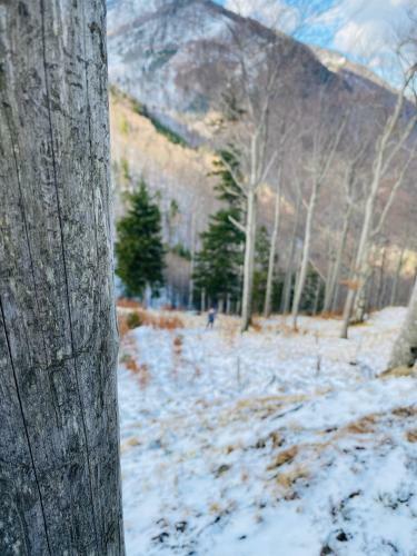 Apartamento Ferienwohnungen Uriwang - Urlaub Im Gr�nen