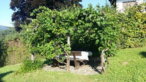 Ferienhaus Gro�